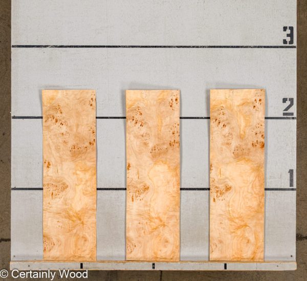 WS_MAPPA_BURL_24468_2.jpg WS_MAPPA_BURL_24468_2.jpg