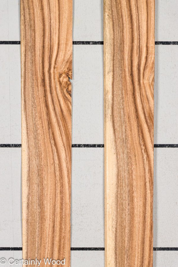 WS_MONKEY_24328-7_1.jpg WS_MONKEY_24328-7_1.jpg