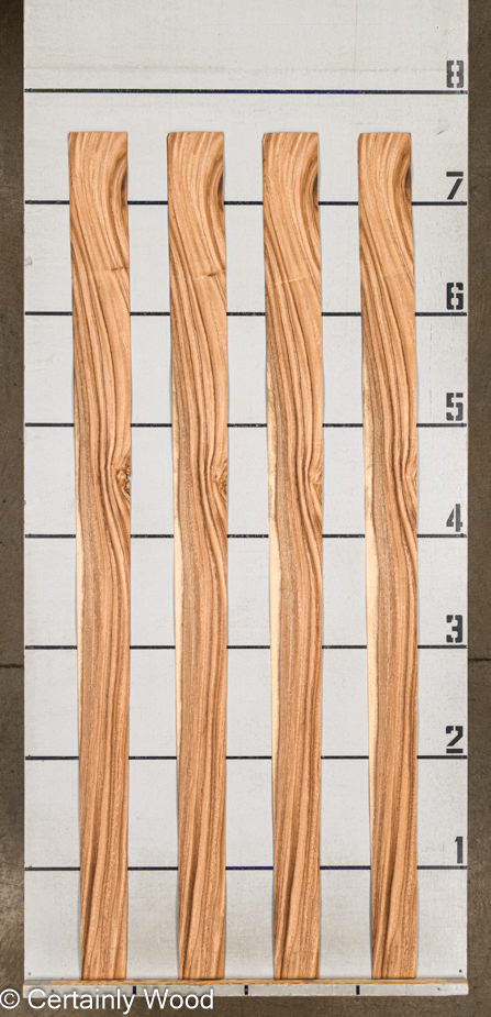 WS_MONKEY_24328-7_2.jpg WS_MONKEY_24328-7_2.jpg