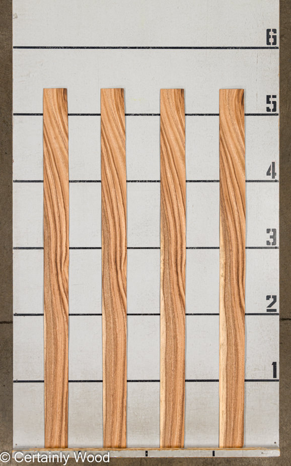 WS_MONKEY_24328-8_2.jpg WS_MONKEY_24328-8_2.jpg