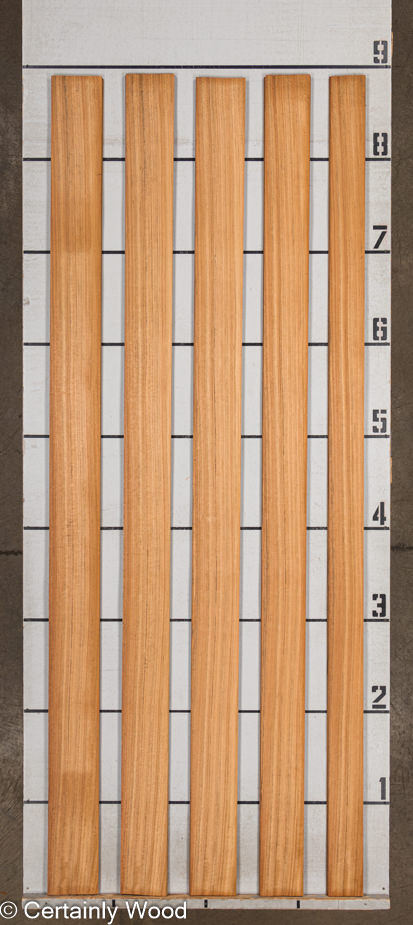 WS_MOZ_23496-1_2.jpg WS_MOZ_23496-1_2.jpg