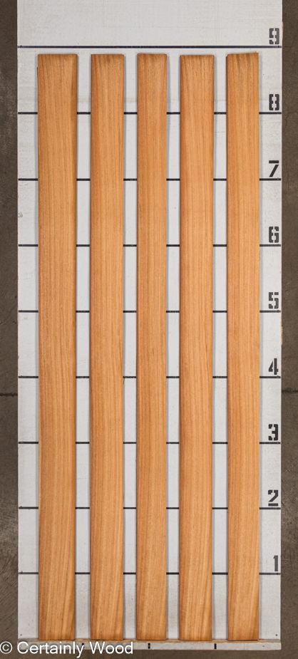 WS_MOZ_23496-2_2.jpg WS_MOZ_23496-2_2.jpg