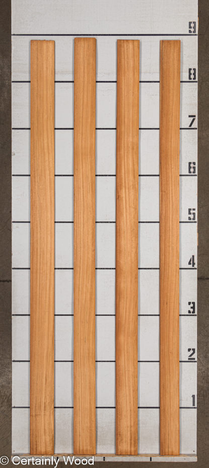 WS_MOZ_23496-3_2.jpg WS_MOZ_23496-3_2.jpg