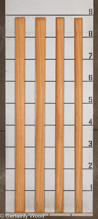 WS_MOZ_23496-4_2.jpg WS_MOZ_23496-4_2.jpg