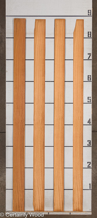 WS_MOZ_23496-6_2.jpg WS_MOZ_23496-6_2.jpg