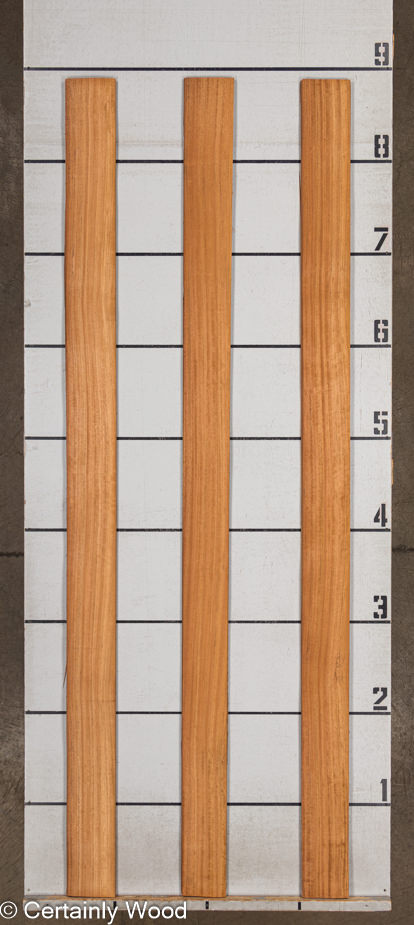 WS_MOZ_23496-7_2.jpg WS_MOZ_23496-7_2.jpg