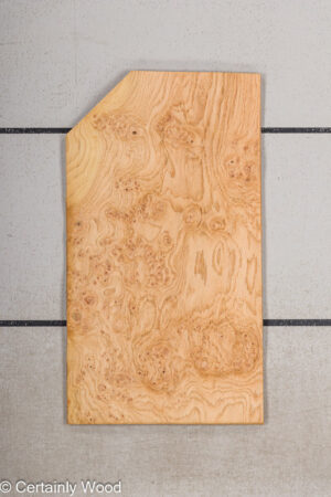 WS OAK BURL 21502-17