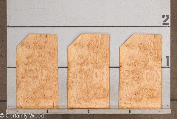 WS_OAK_BURL_21502-17_2.jpg WS_OAK_BURL_21502-17_2.jpg