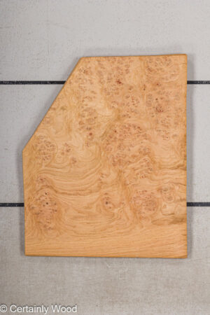 WS OAK BURL 21502-19