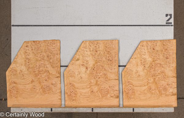 WS_OAK_BURL_21502-19_2.jpg WS_OAK_BURL_21502-19_2.jpg