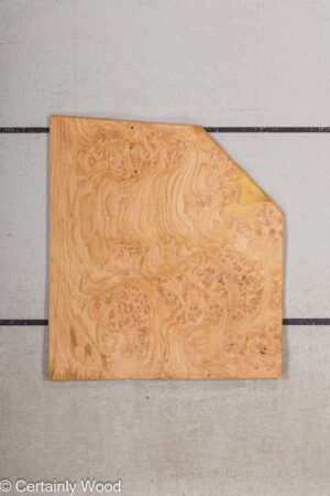 WS OAK BURL 21502-20