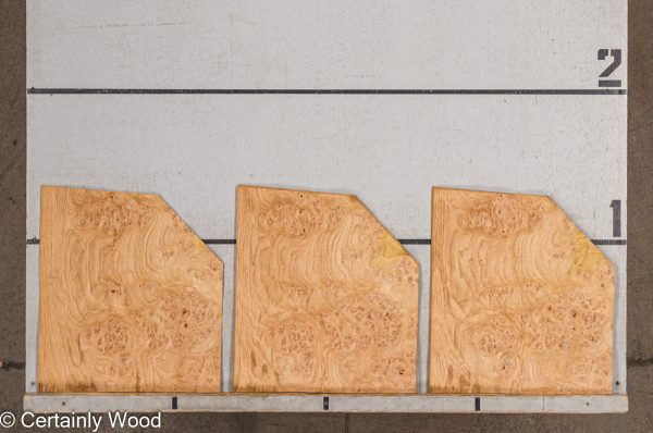 WS_OAK_BURL_21502-20_2.jpg WS_OAK_BURL_21502-20_2.jpg