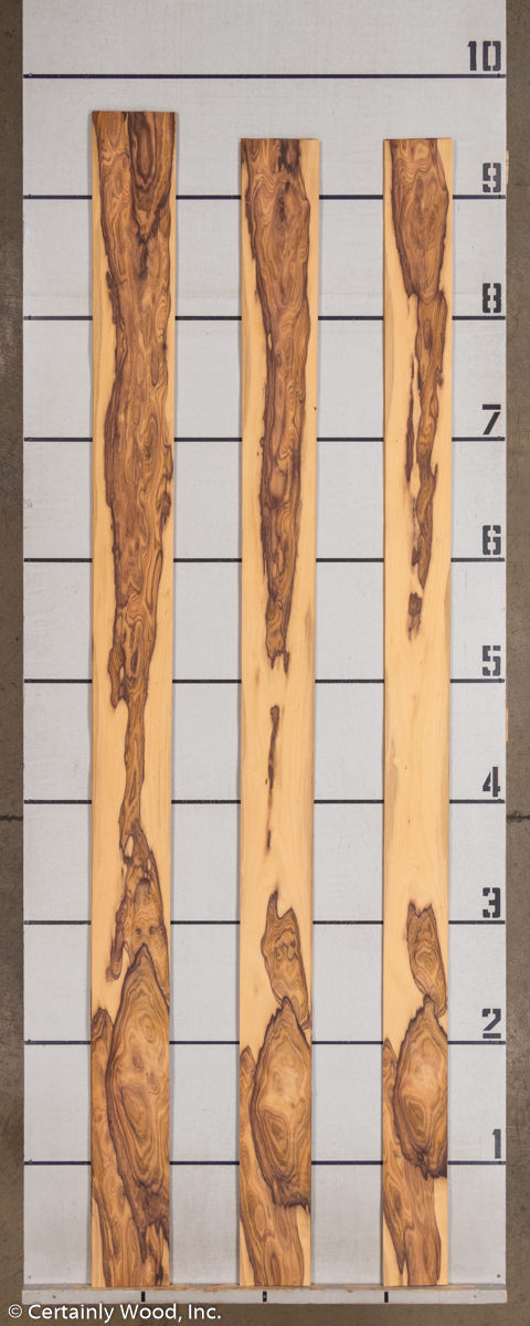 WS_PAU_FERRO_1504-5B_2.jpg WS_PAU_FERRO_1504-5B_2.jpg