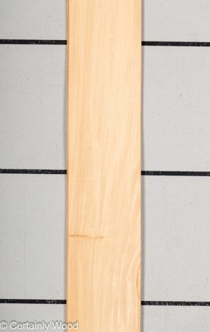 WS PRIMAVERA 23489-2