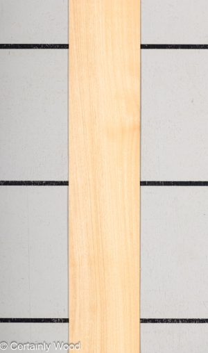 WS PRIMAVERA 23489-3