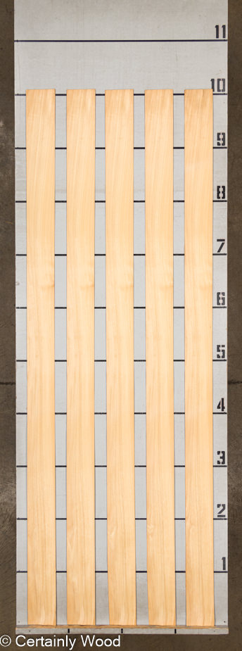 WS_PRIMAVERA_23489-3_2.jpg WS_PRIMAVERA_23489-3_2.jpg