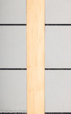 WS PRIMAVERA 23490-2