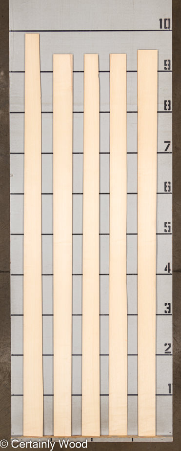 WS_QT_ASH_1501-1_2.jpg WS_QT_ASH_1501-1_2.jpg