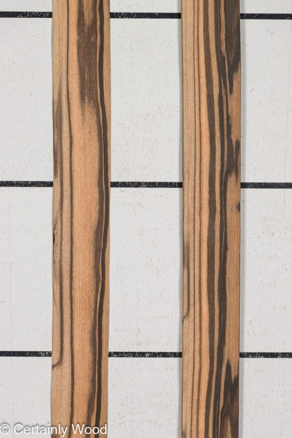 WS_QT_EBONY_1210-4_1.jpg WS_QT_EBONY_1210-4_1.jpg