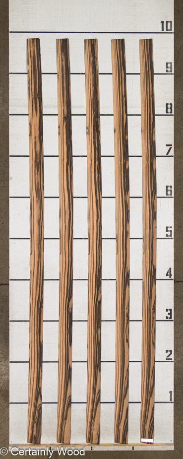 WS_QT_EBONY_1210-4_2.jpg WS_QT_EBONY_1210-4_2.jpg