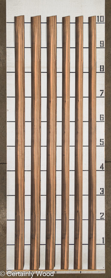 WS_QT_EBONY_1305_2.jpg WS_QT_EBONY_1305_2.jpg