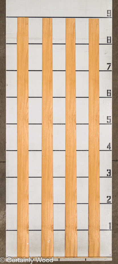 WS_QT_TEAK_24258-6_2.jpg WS_QT_TEAK_24258-6_2.jpg