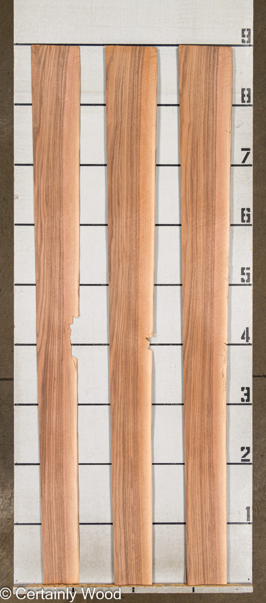 WS_QT_WALNUT_1327-1_2.jpg WS_QT_WALNUT_1327-1_2.jpg