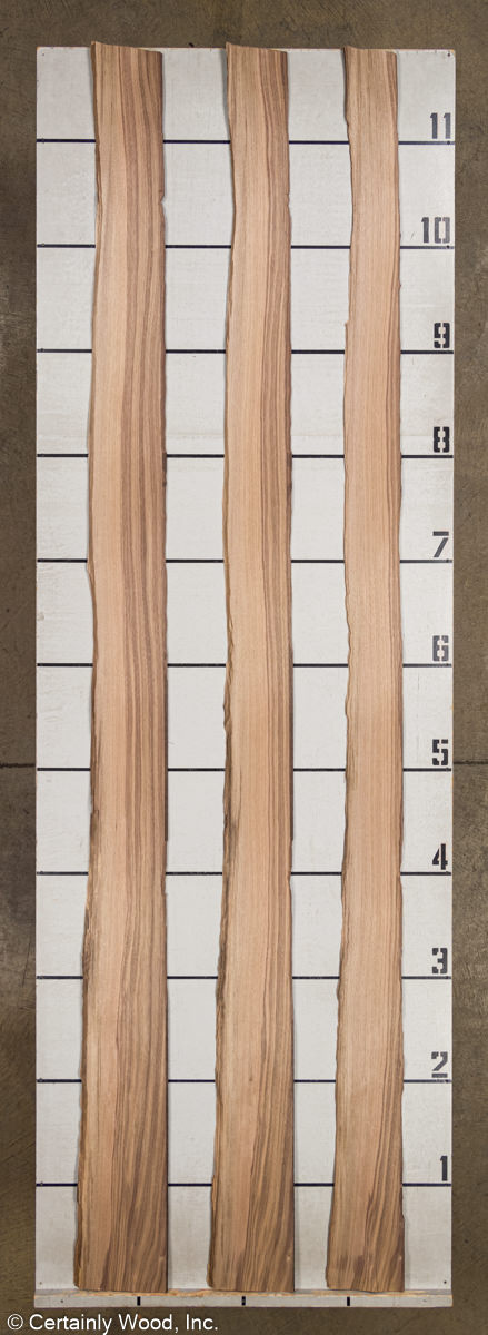 WS_QT_WALNUT_21441-2_2.jpg WS_QT_WALNUT_21441-2_2.jpg