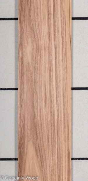 WS QT WALNUT 22435-7