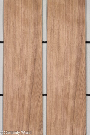 WS QT WALNUT 25187-3