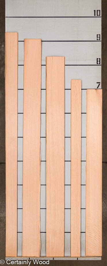 WS_RF_R_OAK_23480_2.jpg WS_RF_R_OAK_23480_2.jpg