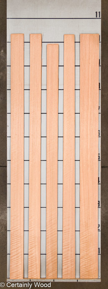 WS_RF_R_OAK_23482_2.jpg WS_RF_R_OAK_23482_2.jpg