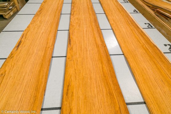 WS_ROSE_HOND_802-1_02.jpg WS_ROSE_HOND_802-1_02.jpg