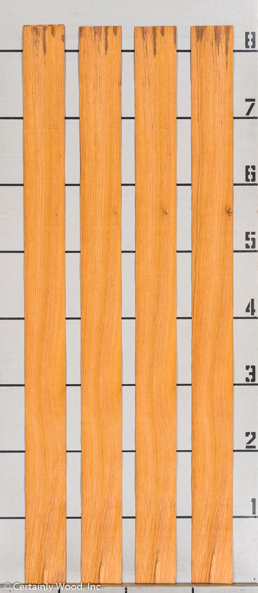 WS_ROSE_HOND_802-2_03.jpg WS_ROSE_HOND_802-2_03.jpg