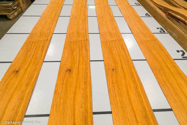 WS_ROSE_HOND_802-3_02.jpg WS_ROSE_HOND_802-3_02.jpg