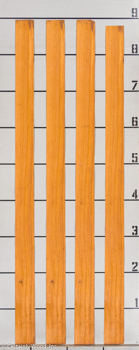 WS_ROSE_HOND_802-3_03.jpg WS_ROSE_HOND_802-3_03.jpg