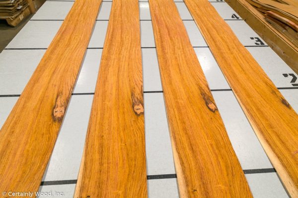 WS_ROSE_HOND_802-4_02.jpg WS_ROSE_HOND_802-4_02.jpg