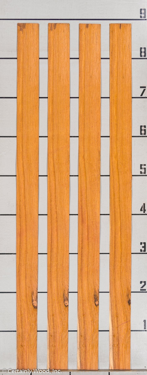 WS_ROSE_HOND_802-4_03.jpg WS_ROSE_HOND_802-4_03.jpg