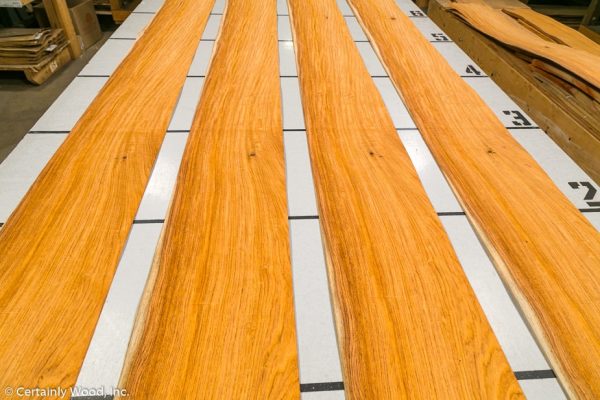 WS_ROSE_HOND_802-5_02.jpg WS_ROSE_HOND_802-5_02.jpg