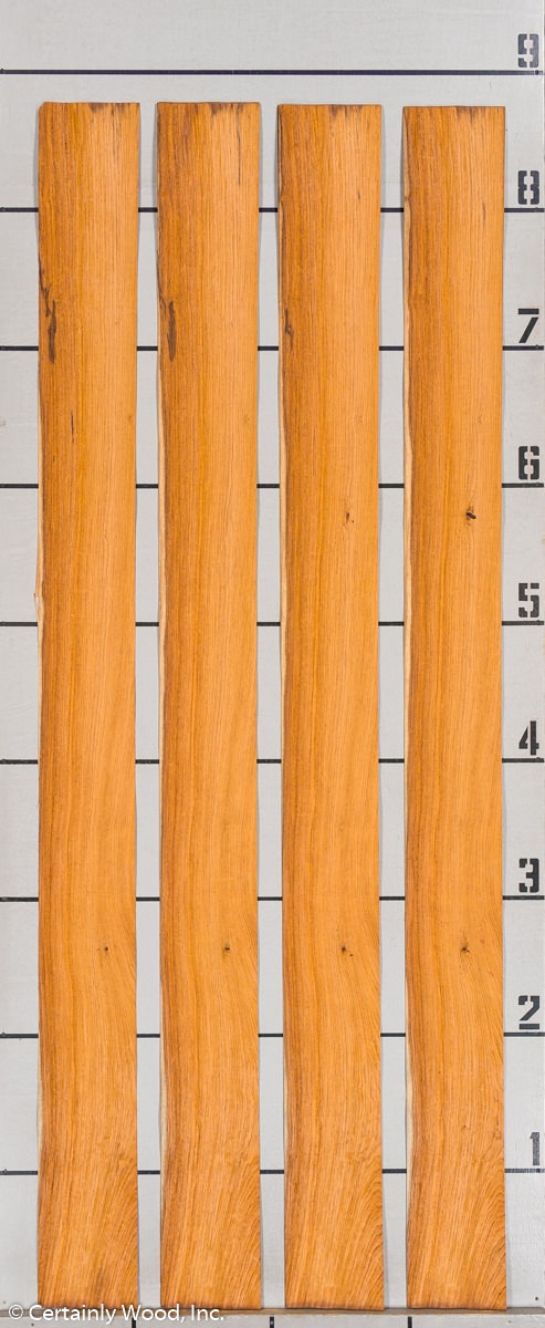 WS_ROSE_HOND_802-5_03.jpg WS_ROSE_HOND_802-5_03.jpg