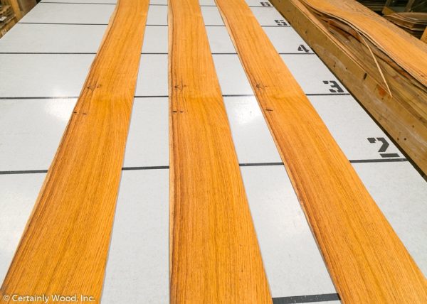 WS_ROSE_HOND_803-1_02.jpg WS_ROSE_HOND_803-1_02.jpg