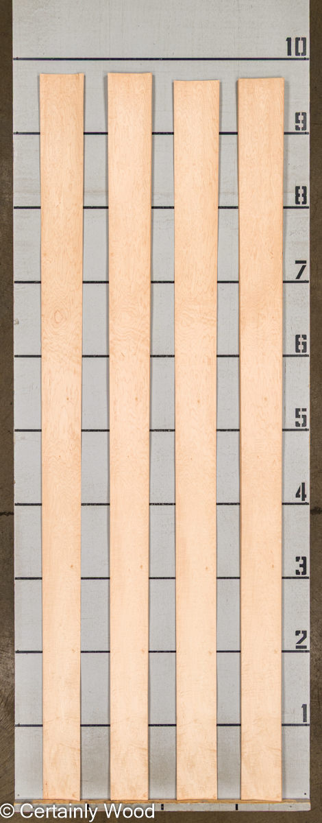 WS_R_C_MAPLE_18451-1_2.jpg WS_R_C_MAPLE_18451-1_2.jpg