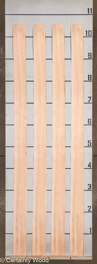 WS_R_ELM_23116-5_2.jpg WS_R_ELM_23116-5_2.jpg