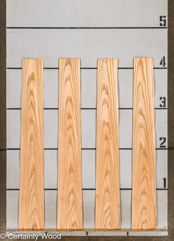 WS_R_ELM_25206-2C_2.jpg WS_R_ELM_25206-2C_2.jpg