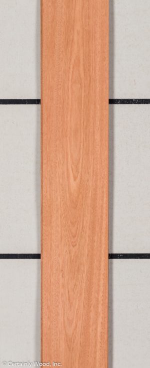 WS SAPELE 21351-2B
