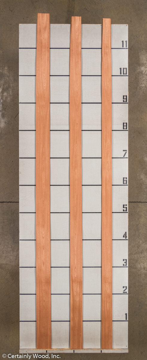 WS_SAPELE_21351-2B_2.jpg WS_SAPELE_21351-2B_2.jpg