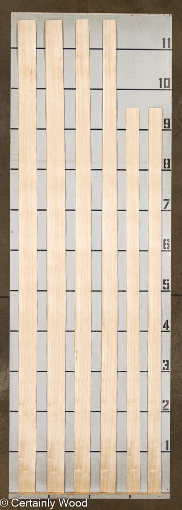 WS_SEN_24086-7_2-1.jpg WS_SEN_24086-7_2-1.jpg