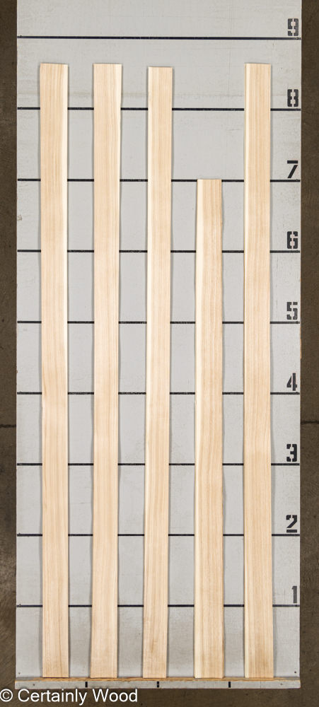 WS_SEN_24086-8_2-1.jpg WS_SEN_24086-8_2-1.jpg