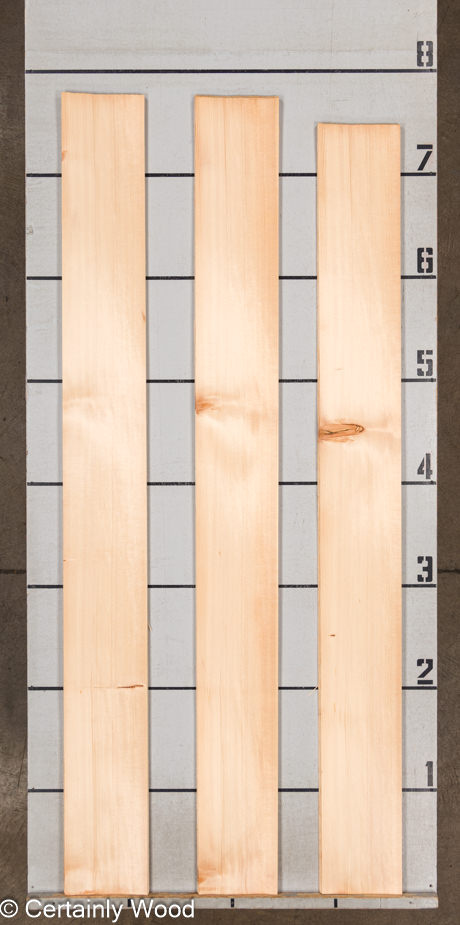 WS_SPRUCE_23474-8_2-1.jpg WS_SPRUCE_23474-8_2-1.jpg