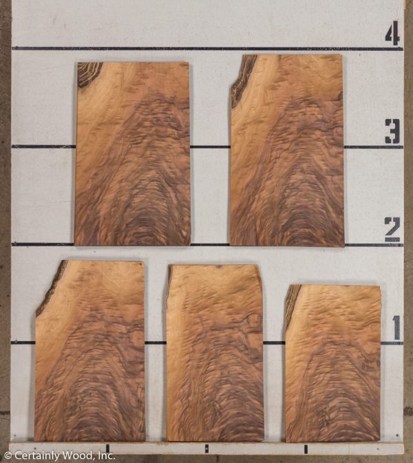 WS_ST_WAL_21199-7A_2.jpg WS_ST_WAL_21199-7A_2.jpg